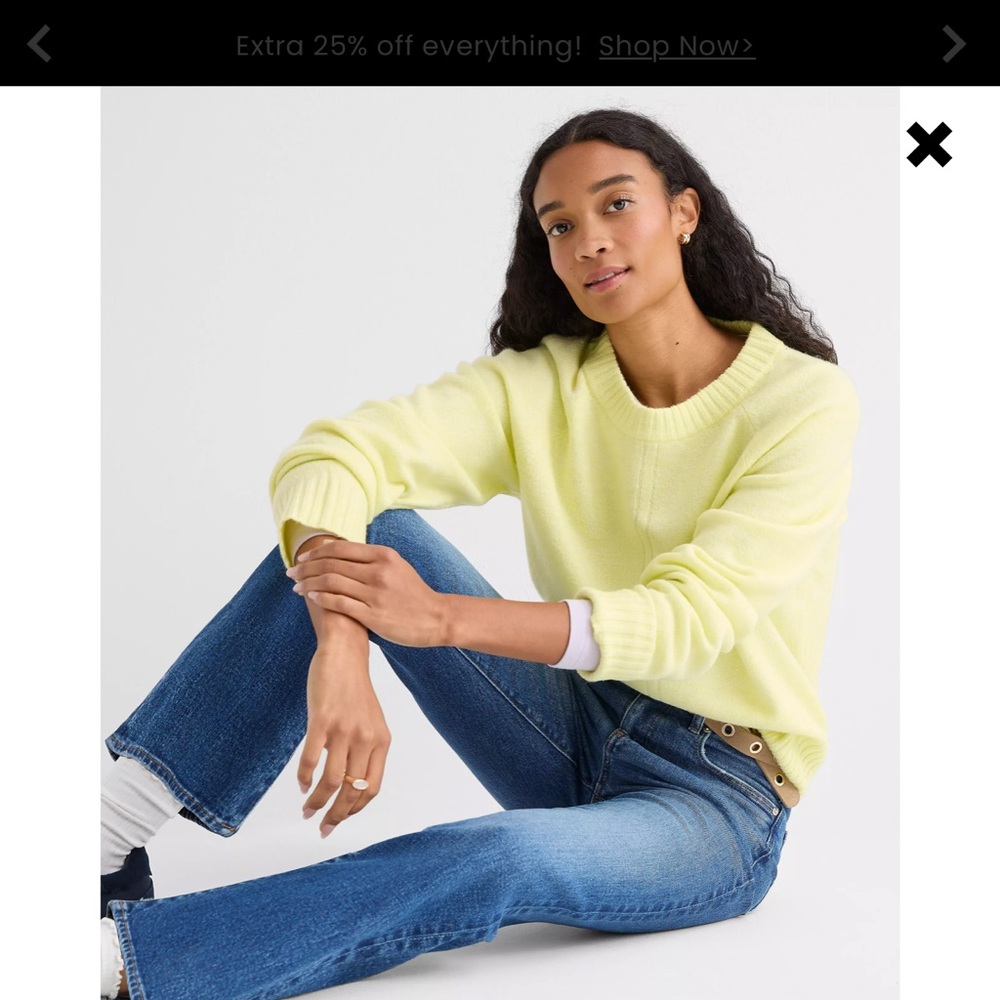 Loft  Seamed Raglan Sweater large NWT
